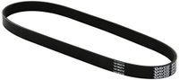 Slager DAYCO 6PK858 V-riem