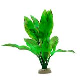 WAVE Echinodorus Bleheri Plant Klassiek, Groot