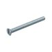 Hoenderdaal metaalschroef gegalv. pk. M6 x 25 mm DIN 963