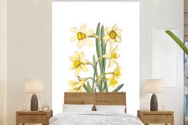 Nr1Wallpaper Behang - Fotobehang - Bloemen narcissen - Breedte 155 cm x hoogte 240 cm