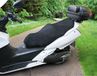 Lampa Air Grip Zadelhoes - Voor Maxi Scooters - Met bevestigingsbanden - L