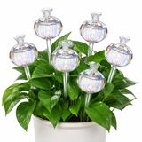 Merkloos Elzusha - Set van 6 Cactus Glazen Waterbollen voor Planten (Transparant)