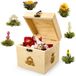 Creano ErblühTee boîte décorative en bois, mélange de fleurs de thé coffret cadeau avec 6 roses de thé, thé blanc dans une boîte noble