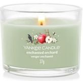 Yankee Candle Enchanted Orchard Geurkaars Groen 1 stuk(s)