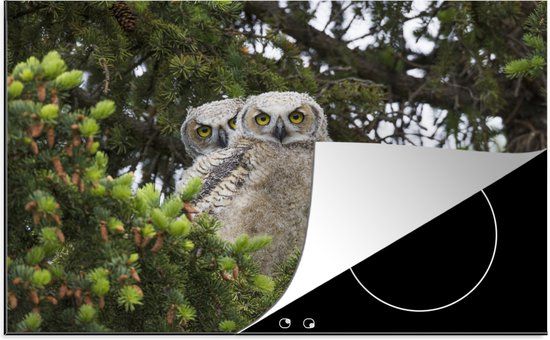 KitchenYeah® Inductie beschermer 77x51 cm - Twee Amerikaanse oehoes in de boom - Inductiebeschermer voor inductiekookplaat