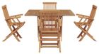 Prolenta Maison Exclusive Tuinset, bruin, massief teak hout