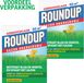 ROUNDUP Gazon Onkruidvrij 2kg - 100m2 – Onkruidverdelger Gazon – Voor o.a. Klaver, Madeliefje & Paardenbloem – Verzorgt Gras & Bestrijdt Onkruid