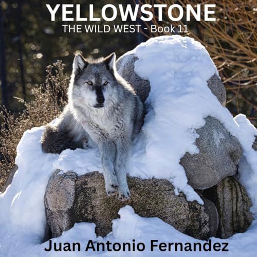 Yellowstone: The Wild West
