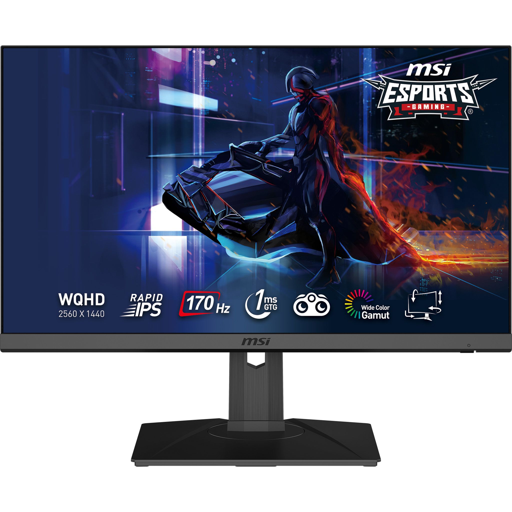 MSI G272QPF 27" WQHD 170Hz Gaming Monitor