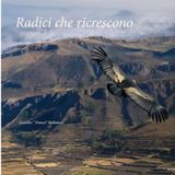 Radici che ricrescono.: Altiplano