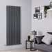 Hudson Reed Grand radiateur vertical - 180 x 70 cm - 2200W - Eau Chaude - Acier Anthracite - Double Rang - Vitality