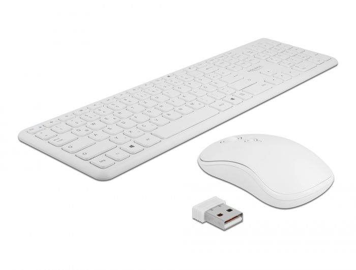 DeLOCK 12703 - Toetsenbord - QWERTY - Wit