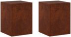 vidaXL Plantenstandaard 2 stuks roestkleurig 30 x 30 x 40 cm weervast staal