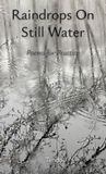 Raindrops on Still Water: Poems for Practice