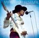 Miami Legacy Recordings Miami Pop Festival (LP)
