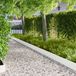 vidaXL Bordure de pelouse - 20 pièces - 103 x 20 cm - Acier - Blanc