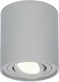 HOFTRONIC Ray Plafondspot Grijs Kantelbaar GU10 5W 4000K IP20