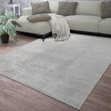 TT Home Vloerkleed Woonkamer Laagpolig Eenkleurig Modern Design Wasbaar Zilver, Kleur: Zilver, Maat:80x150 cm