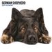 Magnet & Steel Duitse Herder Kalender 2024 Wandkalender