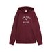 PUMA Varsity hoodie voor Dames, Maat 4-5Y