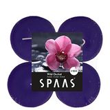 SPAAS 4 Maxi Theelichten Geur, ± 10 uur - Wild Orchid