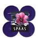 SPAAS 4 Maxi Theelichten Geur, ± 10 uur - Wild Orchid