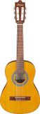 Ibanez Akoestische gitaar/GA1OAM-standaard