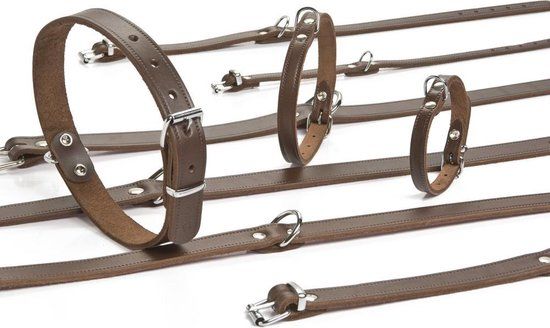 Beeztees Halsband Hond Leer Bruin 47-57 cm x 25 mm