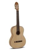 GEWA Pro Natura Gold concertgitaar