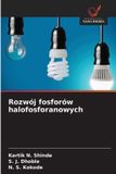 Rozwój OmniScriptum SRL Rozwój fosforów halofosforanowych