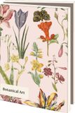Bekking & Blitz - Wenskaartenmapje - Set wenskaarten - Kunstkaarten - Museumkaarten - Uniek design - 10 stuks - Inclusief enveloppen - Botanische kunst - Bloemen en Vlinders