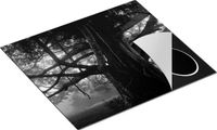 Chefcare Inductie Beschermer Grote Levensboom - Zwart Wit - 57,6x51,6 cm