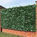 BAKAJI Kunstheg, rol met inkijkbescherming, decoratief, met kunstmatige klimopbladeren, voor reling, terras, balkon, tuin, buiten, donkergroen (1 x 3 meter)