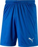 Puma LIGA Core Shorts - Heren - Maat L - Blauw