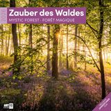 Zauber Ackermann Kunstverlag Zauber des Waldes Broschürenkalender 2026