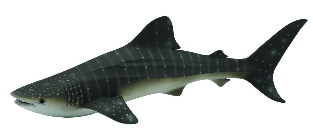 Collecta Zeedieren (XL): WALVISHAAI 23x11x6,5cm