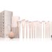 Luvia Aura Pro Set de pinceaux de maquillage, set de 19 pinceaux pour le visage et les yeux, avec étui, éponge de beauté et pince à épiler, pinceaux cosmétiques professionnels, vegan et cruelty-free, nude, 2 couleurs