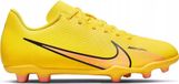 Nike Jr Vapor 15 Club Fg mg DJ5958780