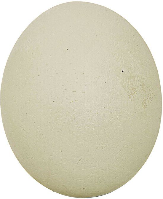 LOBERON Decoratief ei Fauverine crème