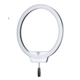 YongNuo YN-308 Lumière LED 3200-5500K