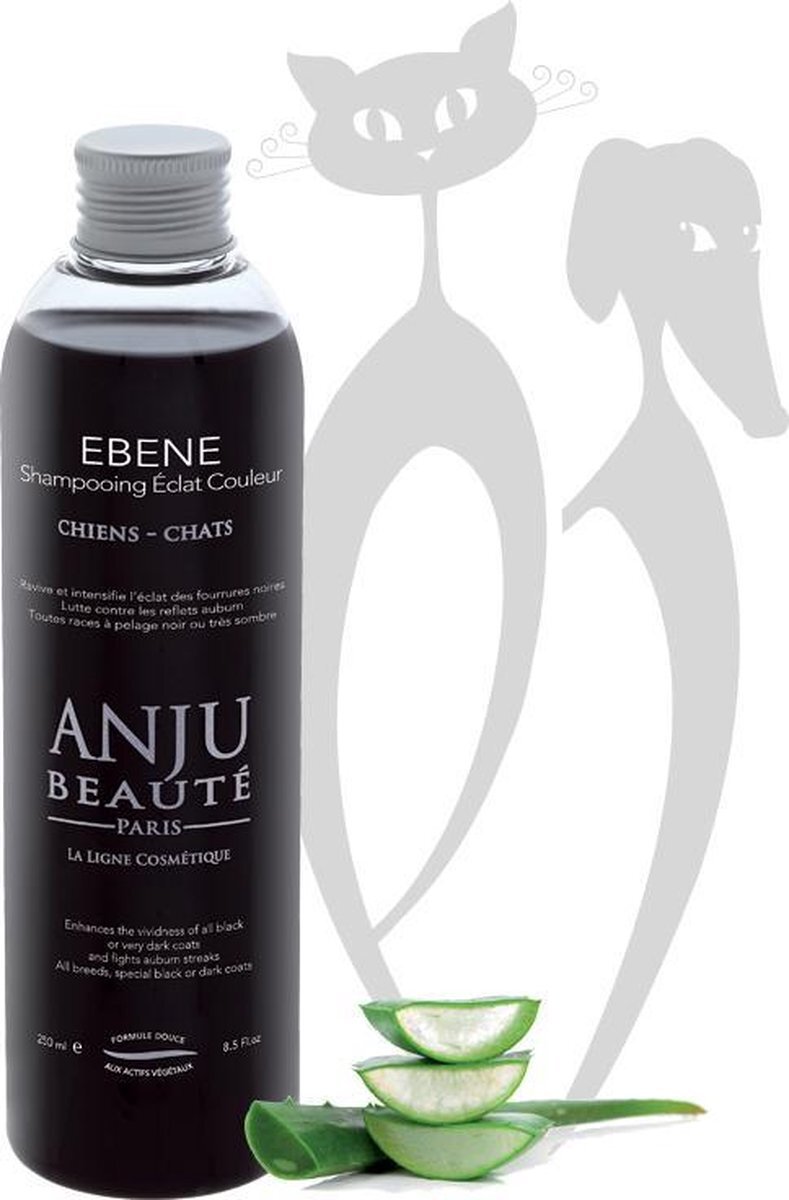 Anju Beauté Ebene Shampoo 500 mL