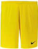 Nike Park III Sportbroek Mannen - Geel - Maat L
