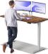 Desktronic HomePro Bureau assis-debout électrique réglable en hauteur, 160x80 cm Noyer massif/Gris