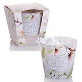 Dekohelden24 Geurkaars, windlicht, kaars in glas, als set van 2, geurrichting katoen, L/B/H 8 x 8 x 8 cm, 115 g per kaars, wit