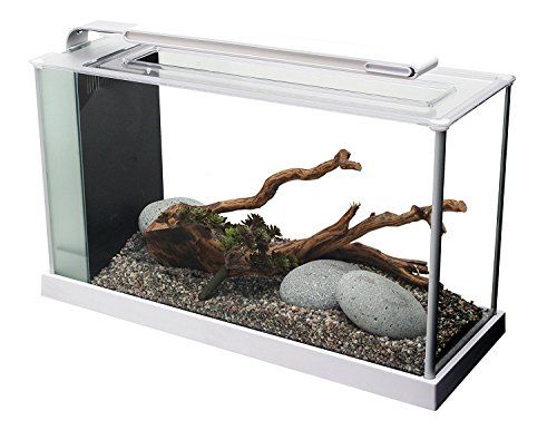 Fluval Spec Nano Aquarium - 19 Liter - Wit