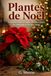 Plantes de Noël: Poinsettia, houx et sapin : bien les choisir, les entretenir et les faire durer