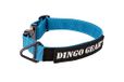 DINGO GEAR Cobra hondenhalsband met professionele veiligheidsgesp en label bevestigd met klittenbandachtige sluiting, betrouwbare halsband voor verdedigingstraining, speciale taken, halsomtrek 38-48