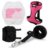 Yesito Kippentuigje, kippenmaat met bijpassende riem van 1,8 m, comfortabel, ademend, kleine maat, geschikt voor kip, eend of gans, geschikt voor gewicht ongeveer 2,3-3 kg, groen (maanden, roze)