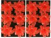Gerimport Fleur de Noël sur clip - 12x pièces - rouge - plastique - ornement de Noël