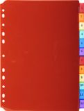 Exacompta 10x Tabbladen in Doorzichtige PP met neutrale tabs in etikettenhouder - 12 tabs - A4 - Geassorteerd - 3912E